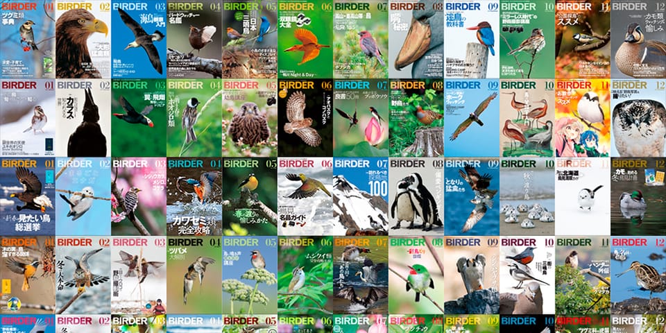 BIRDER総目次 2020-2024
