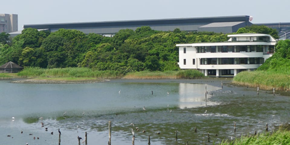 東京港野鳥公園