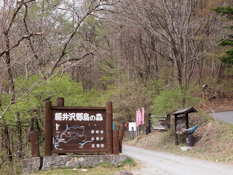 軽井沢野鳥の森 ピッキオビジターセンター