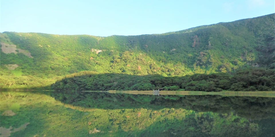 三宅島自然ふれあいセンター アカコッコ館